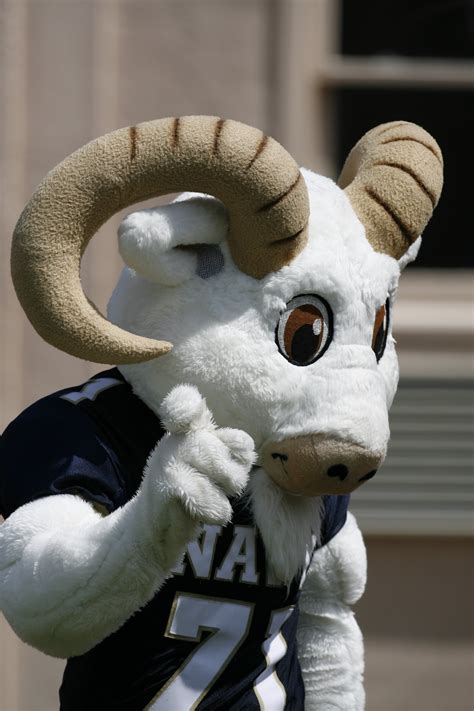 Unity college mascot image